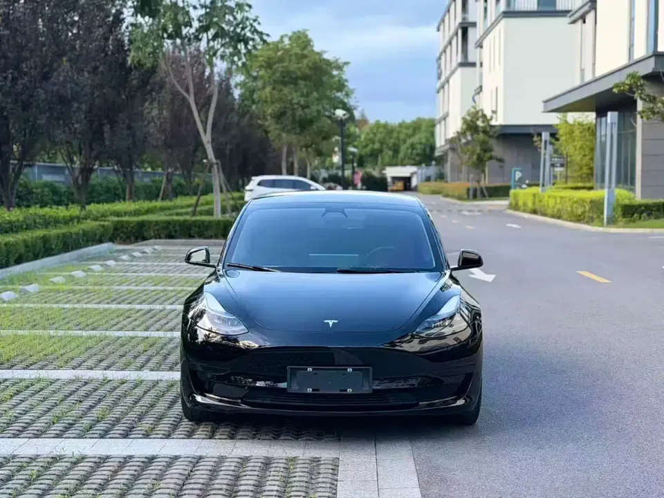 Tesla Model 3 Facelift Standard Range RWD Upgrade 3D1 2021