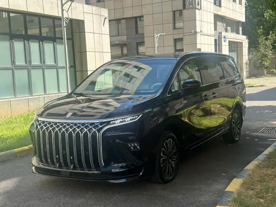 Dongfeng Fengxing Starlight V9 1.5TD 200km Chinese Knot Series Exclusive 2026
