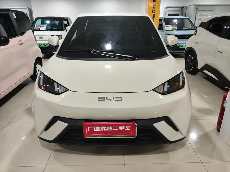 BYD Seagull 305km Freedom 2024