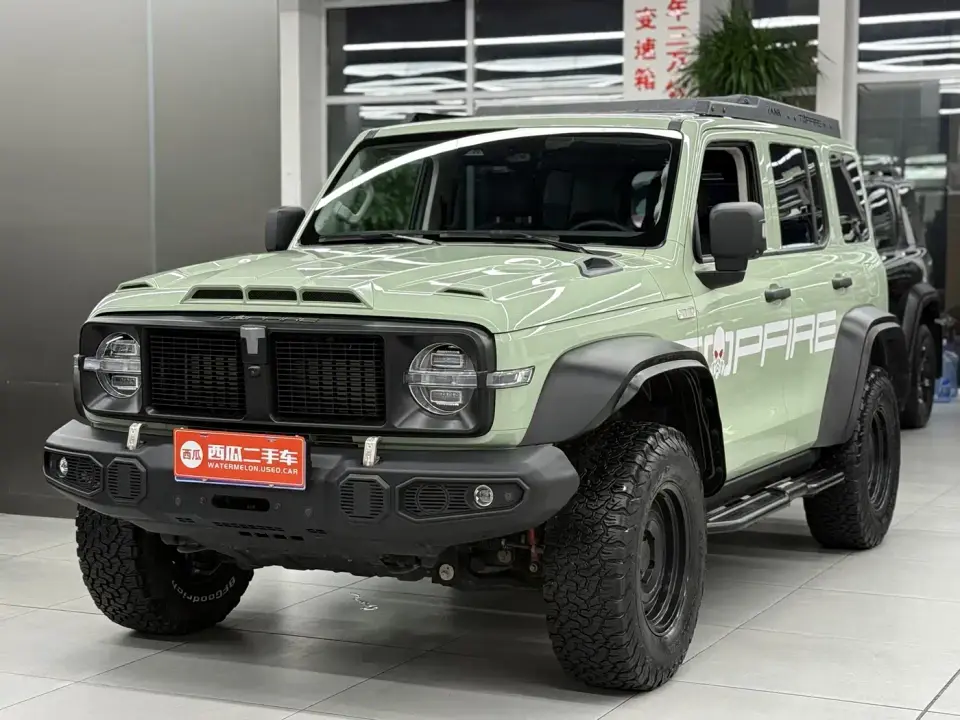 Tank 300 2.0T Wind Forest Iron Cavalry 2022