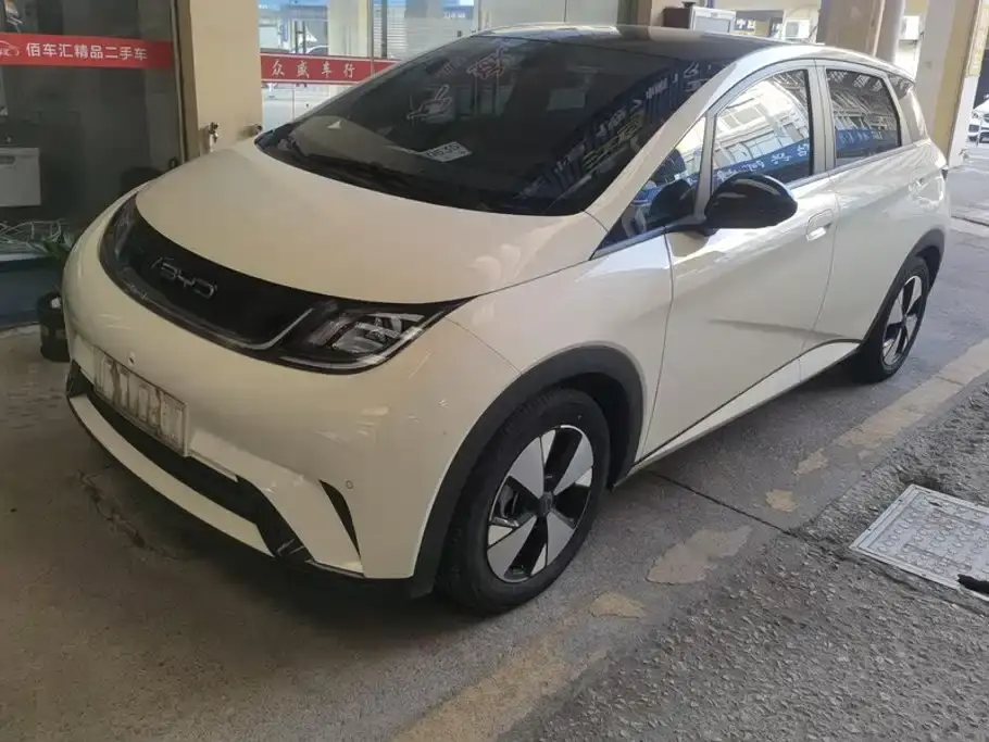BYD Dolphin 420km Fashion Edition 2023