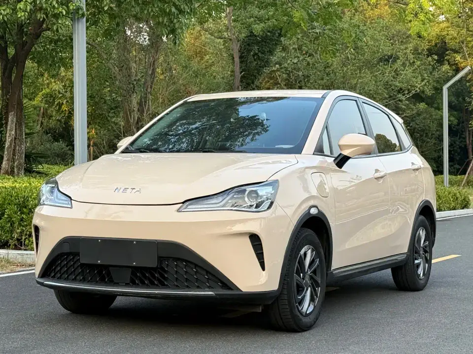 Neta Nezha AYA Model 318 Lite 2024