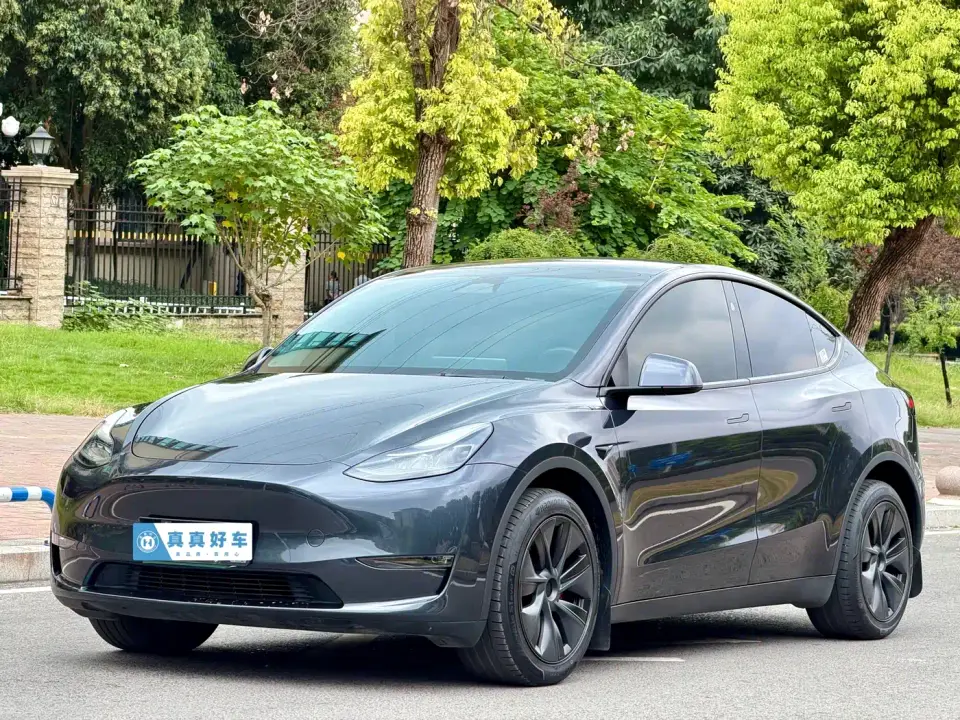 Tesla Model Y Long Range AWD 2024