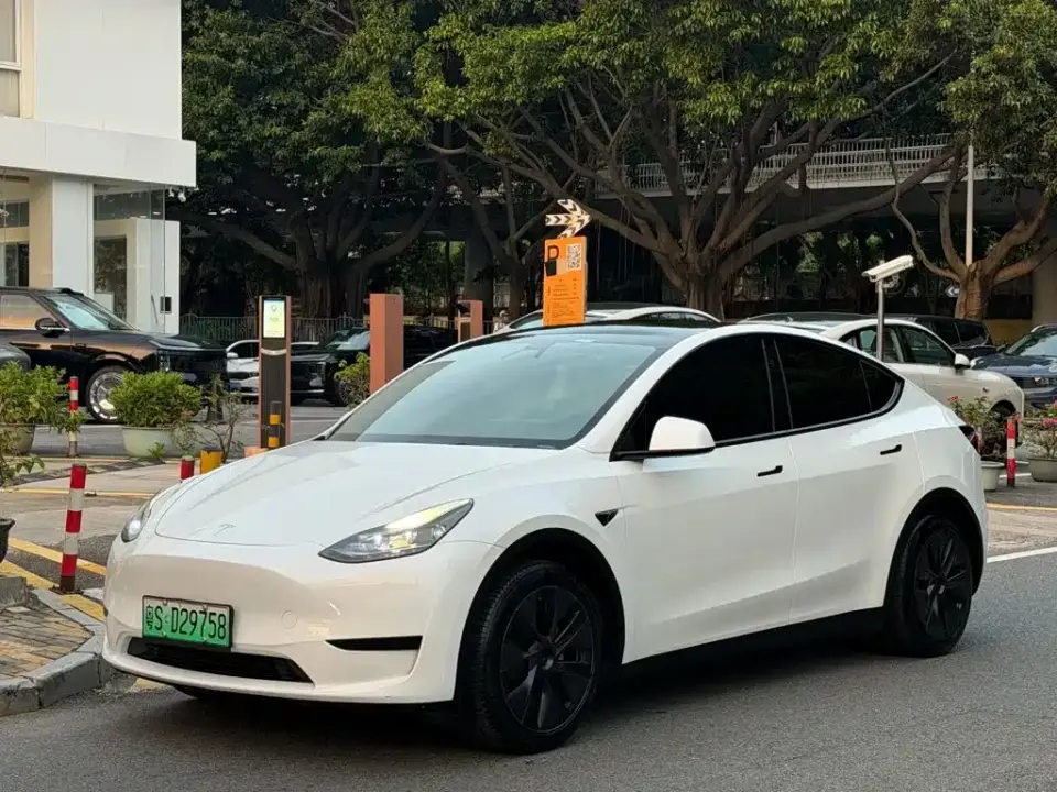 Tesla Model Y Rear-Wheel Drive Version 2024