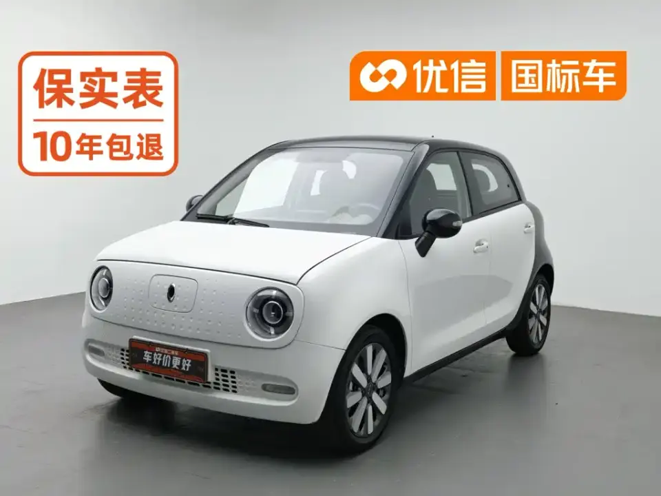 ORA Black Cat 351km Standard Model 2020