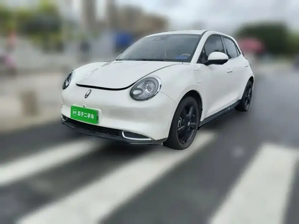 ORA Good Cat 401km Luxury 2024