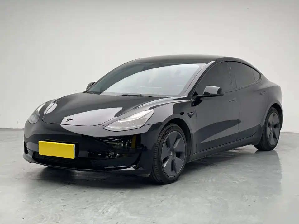 Tesla Model 3 Facelift Standard Range RWD Upgrade 3D1 2021