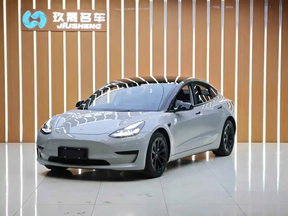 Tesla Model 3 Model Rear-Wheel Drive Version 2022