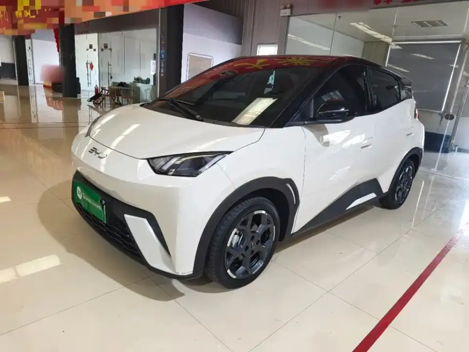 BYD Seagull 305km Freedom 2025