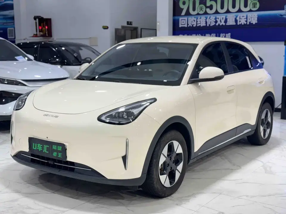 Geely Galaxy Starry Wish 310km Dream Edition 2025