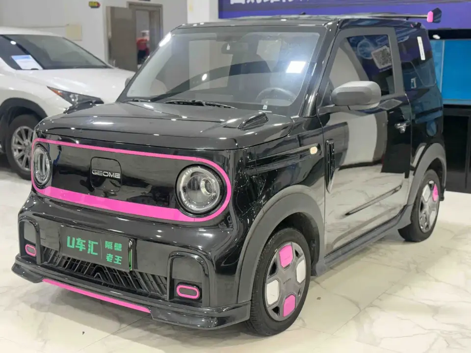 Geely Galaxy Panda Model Year 210km Panda Kart 2025