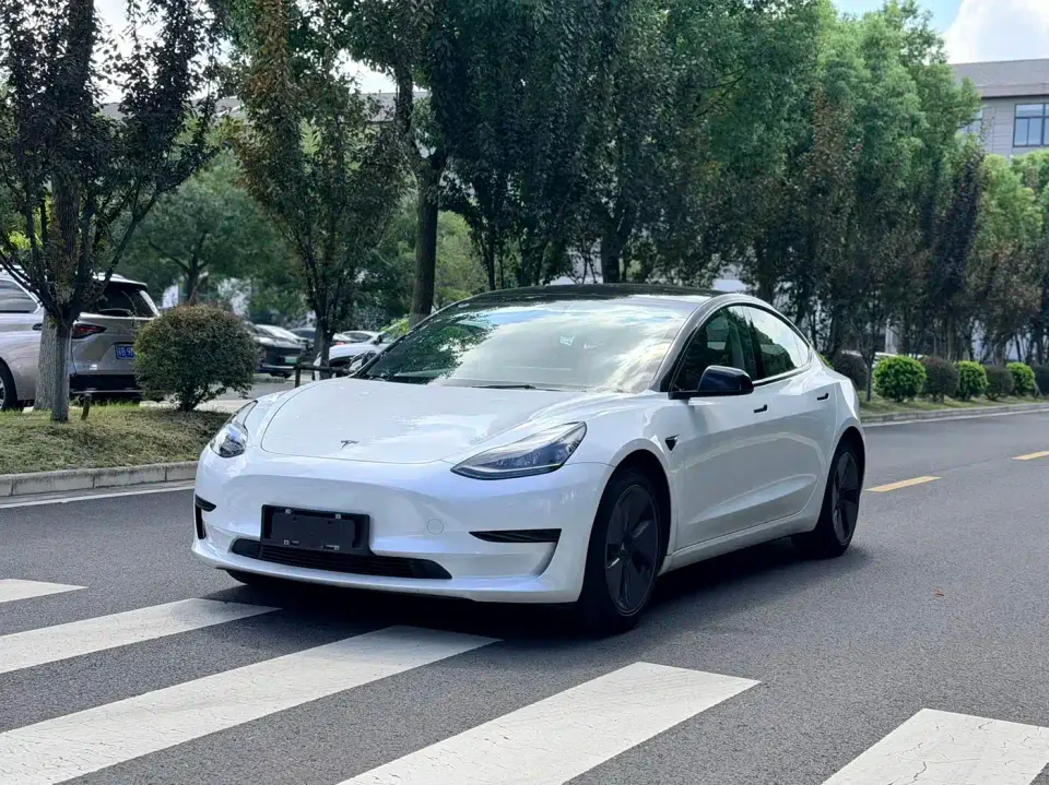 Tesla Model 3 Standard Range Rear-Wheel Drive Upgrade 3D6 2021