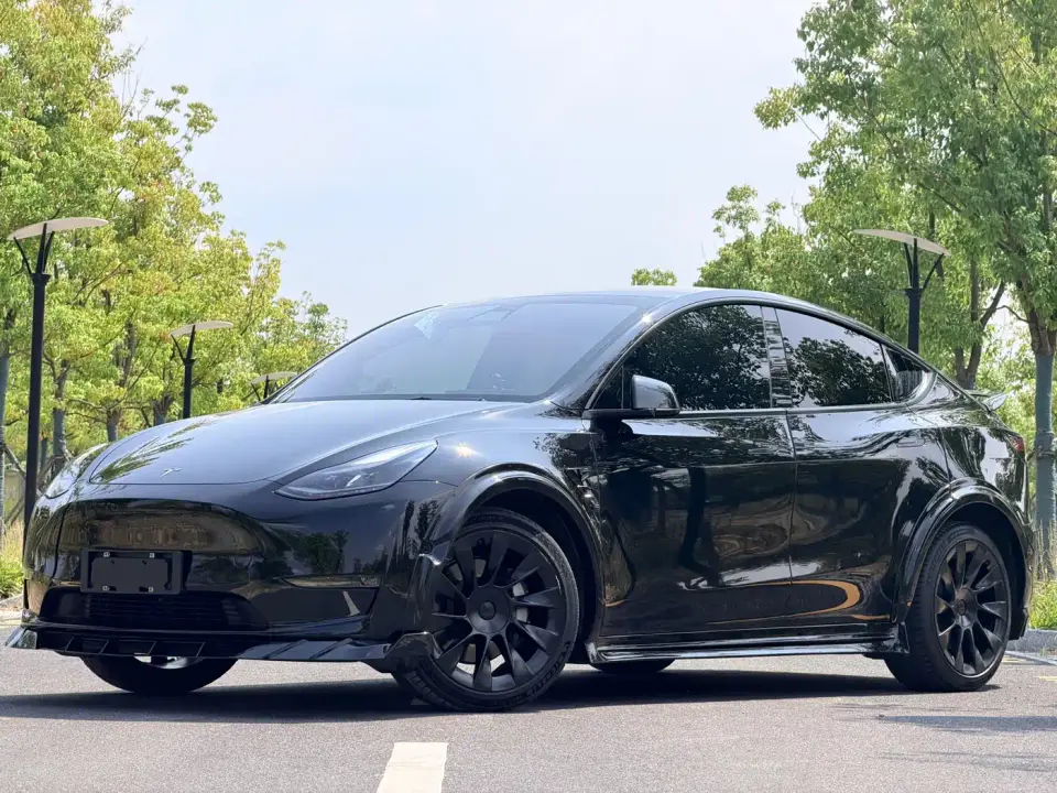 Tesla Model Y Standard Range Rear-Wheel Drive 2021