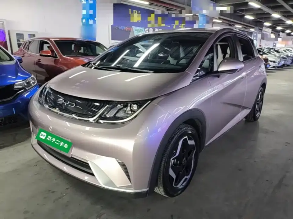 BYD Dolphin 405km Freedom Edition 2022