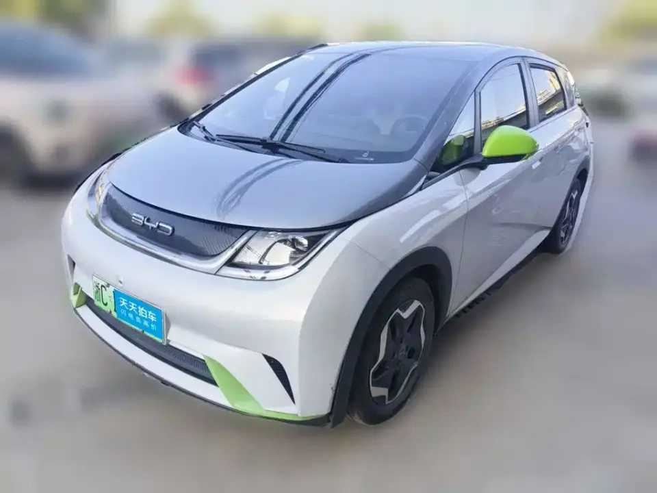 BYD Dolphin 405km Freedom Edition 2021