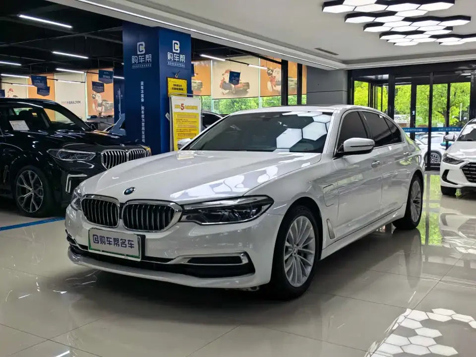 BMW 5 Series New Energy 530Le Luxury Package 2020