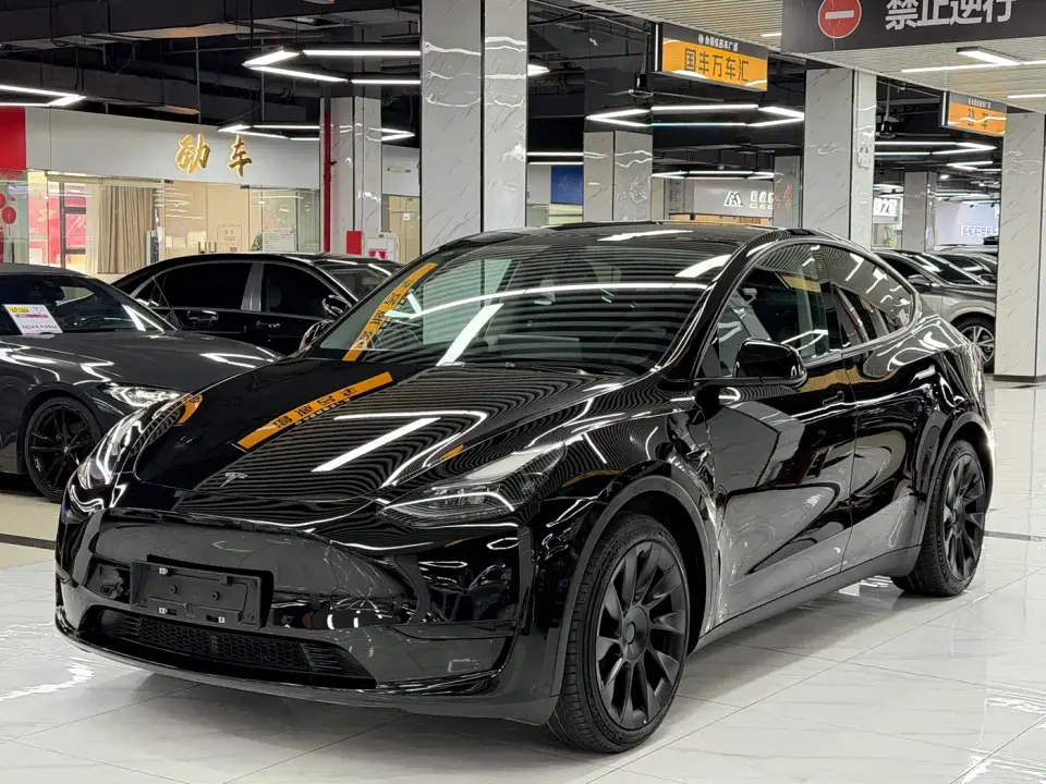 Tesla Model Y Rear-Wheel Drive Version 2022