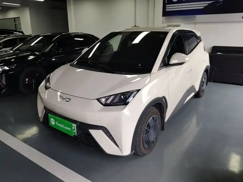 BYD Seagull 305km Vitality 2025