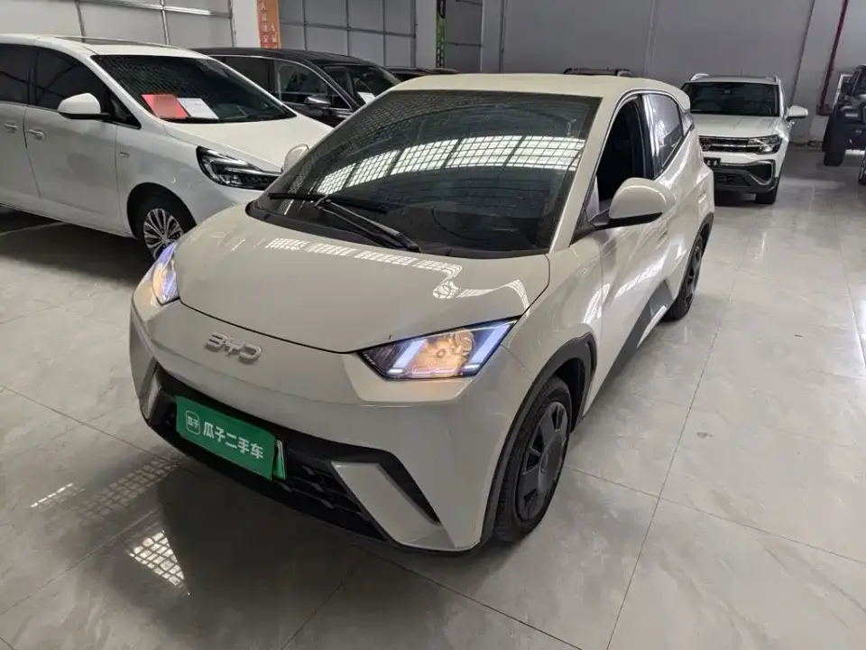 BYD Seagull Glory Edition 305km Vitality Edition 2024