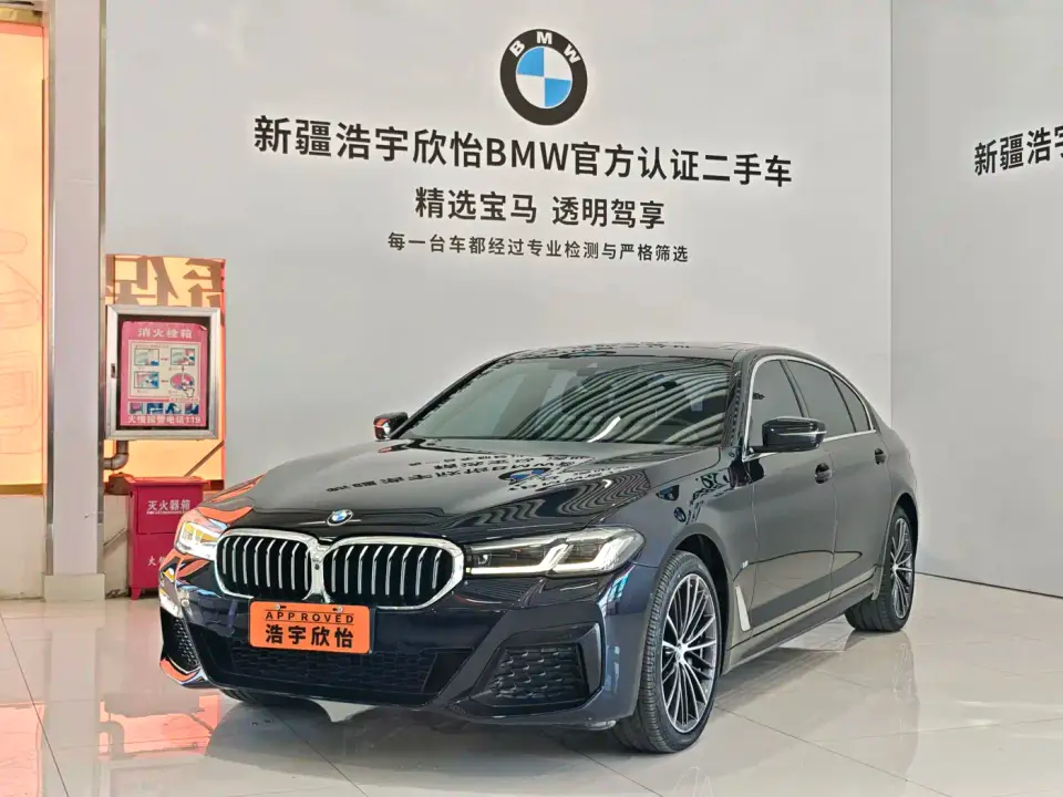 BMW 5 Series 530Li Leading M Sport Package 2021
