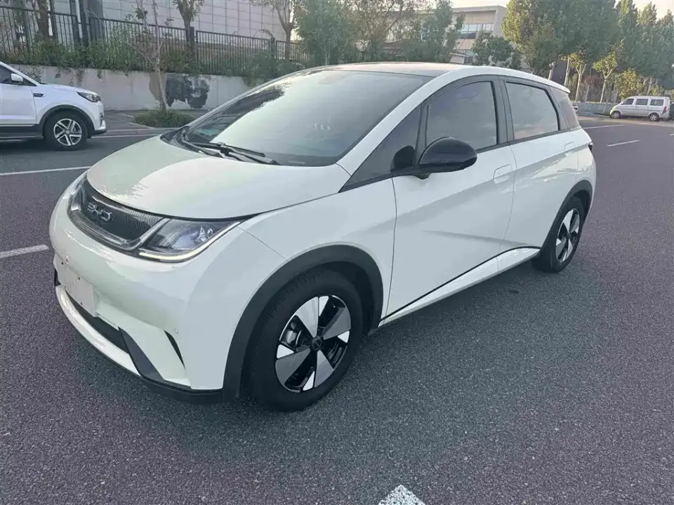 BYD Dolphin 420km Fashion Edition 2023