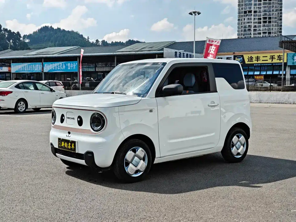 Geely Galaxy Panda Panda mini 200km Endurance Bear 2024