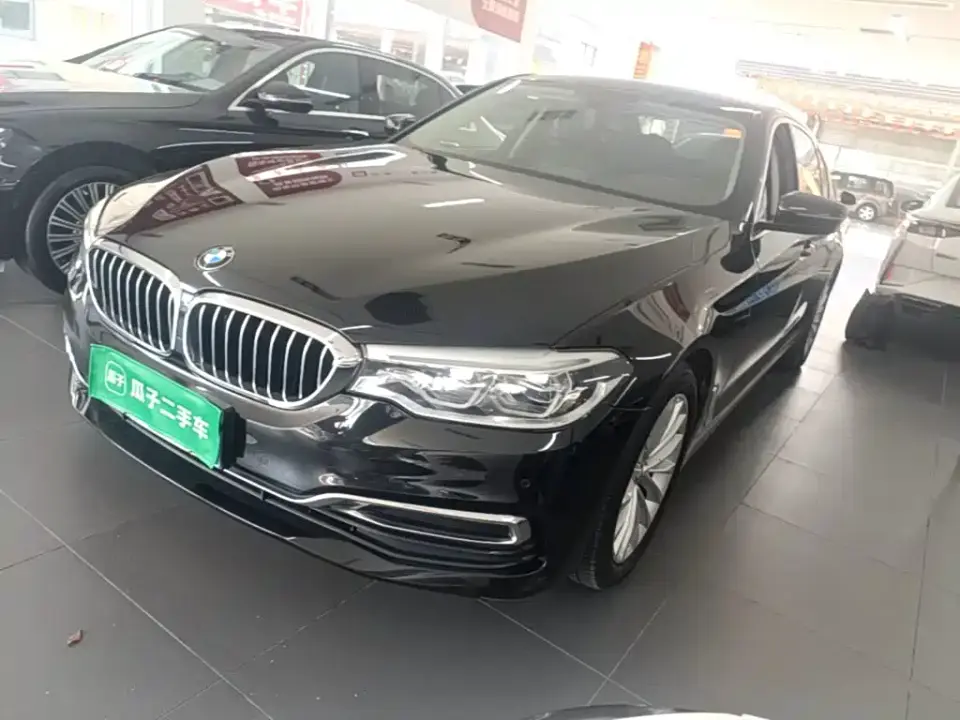 BMW 5 Series 530Li Leading Luxury Package 2020
