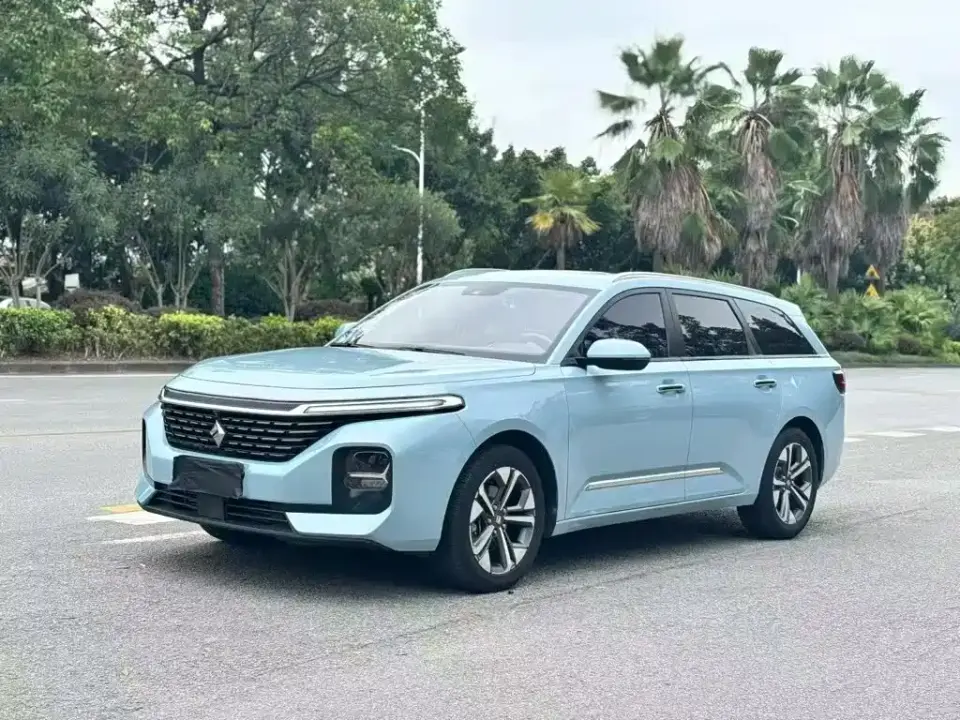 Baojun Valli 1.5T Nagqu Starry Sky CVT Flagship Model 2021