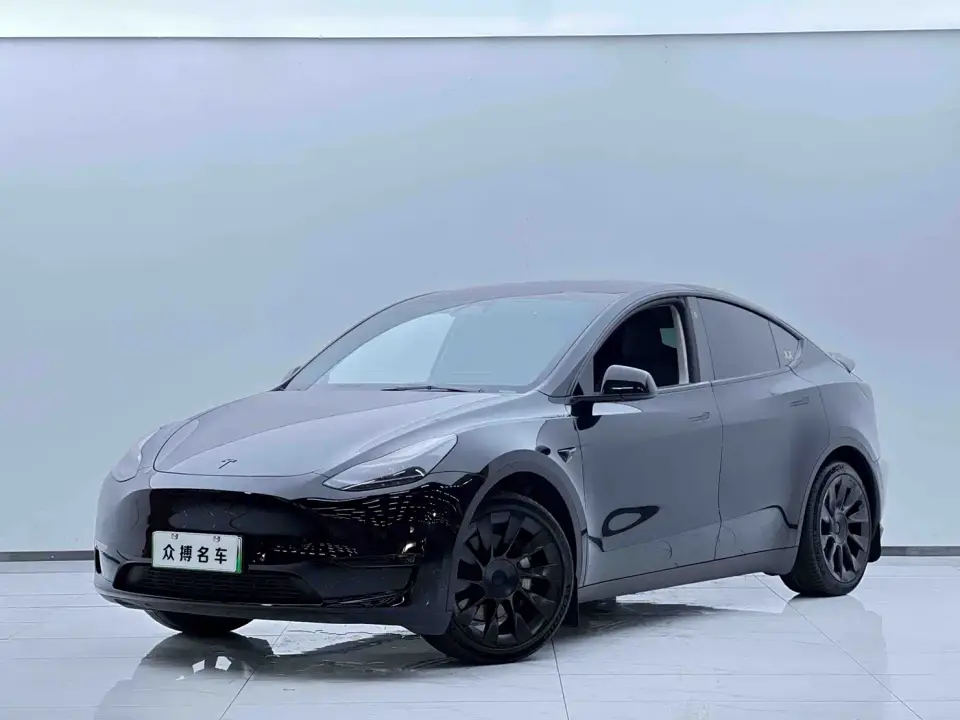 Tesla Model Y Standard Range Rear-Wheel Drive 2021