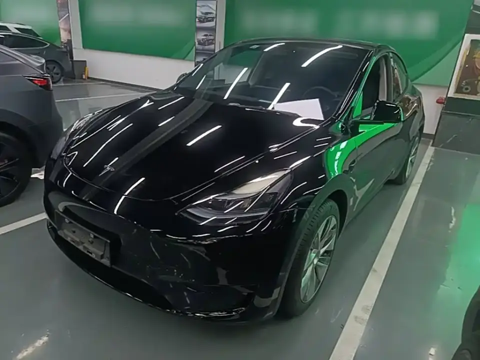 Tesla Model Y Rear-Wheel Drive Version 2022