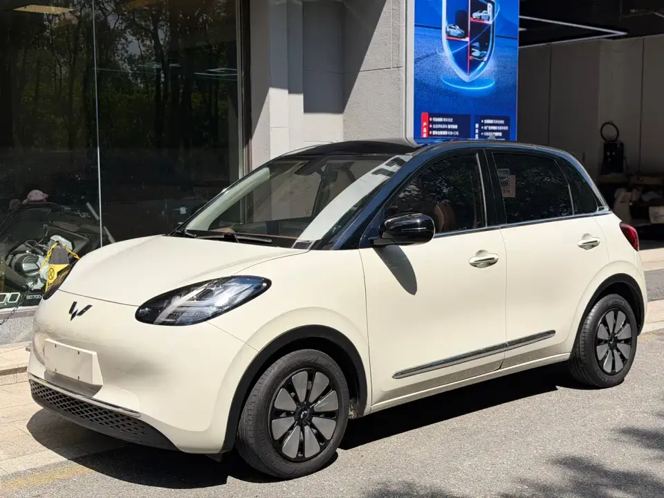 Wuling Motors Wuling Bingo 203km Comfort Version 2024