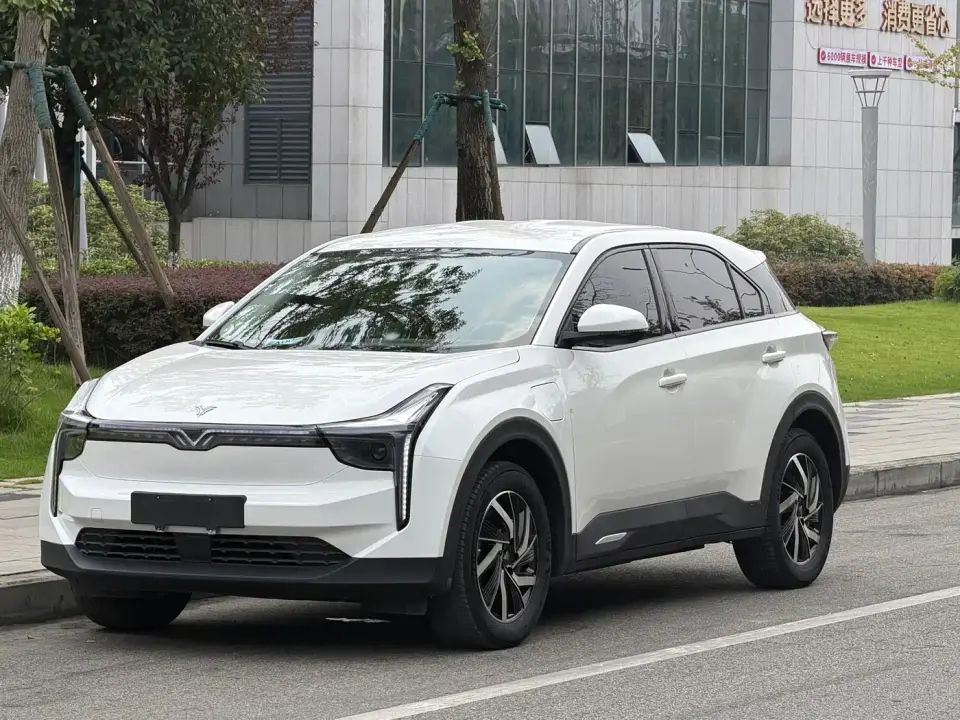 Neta U Pro 400 Cruise Edition 2022