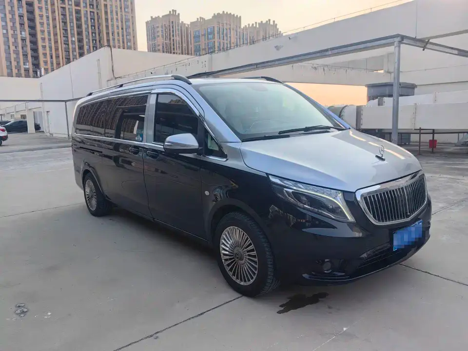 Mercedes-Benz Vito 2.0T Business Edition China VI 2020