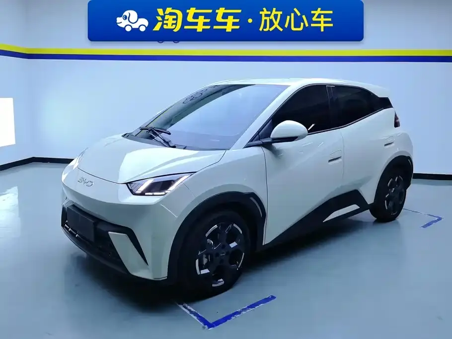 BYD Seagull 405km Soaring 2024
