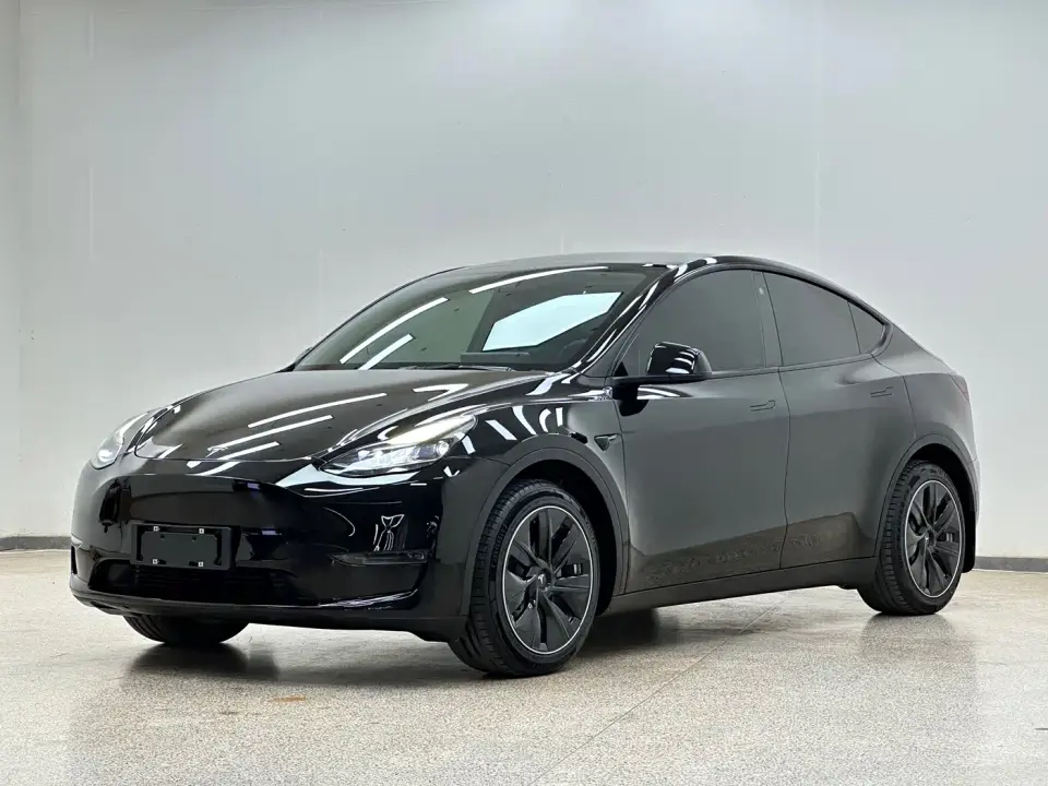 Tesla Model Y Standard Range Rear-Wheel Drive 2021