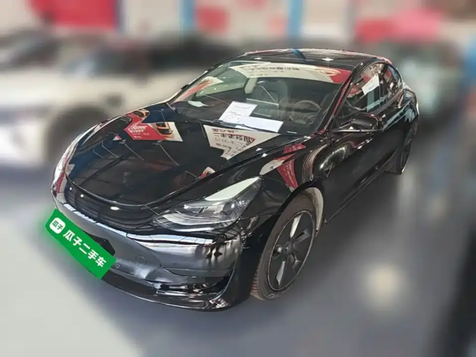 Tesla Model 3 Standard Range Rear-Wheel Drive Upgrade 3D6 2021