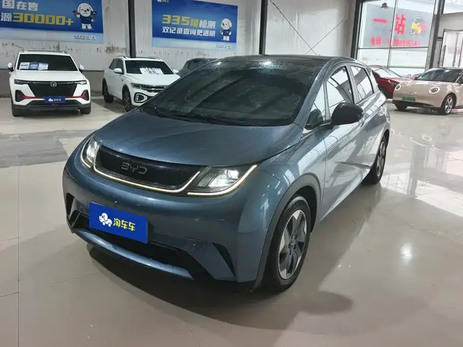 BYD Dolphin Glory Edition 420km Fashion Edition 2024
