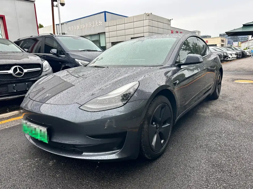 Tesla Model 3 Model Rear-Wheel Drive Version 2022