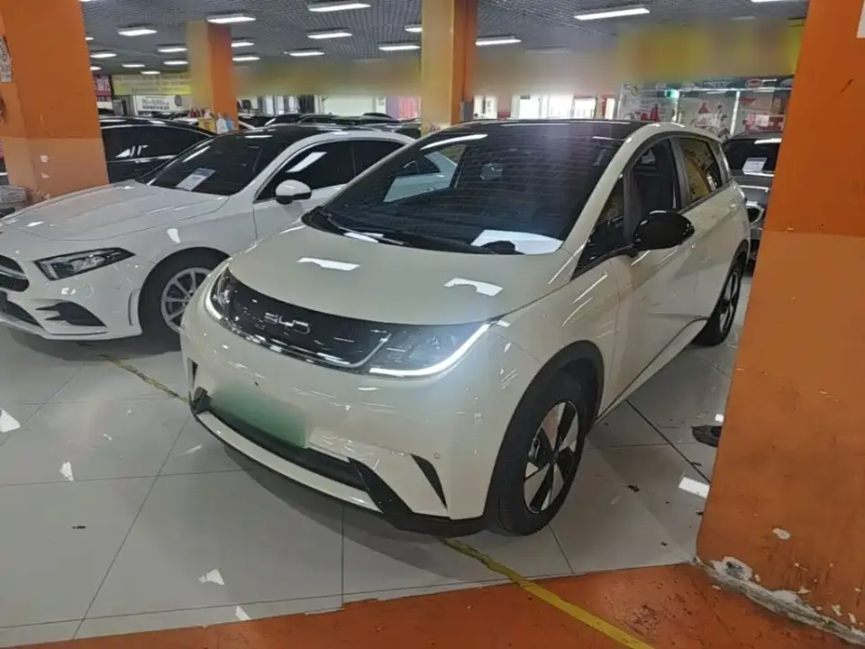 BYD Dolphin 420km Fashion Edition 2023