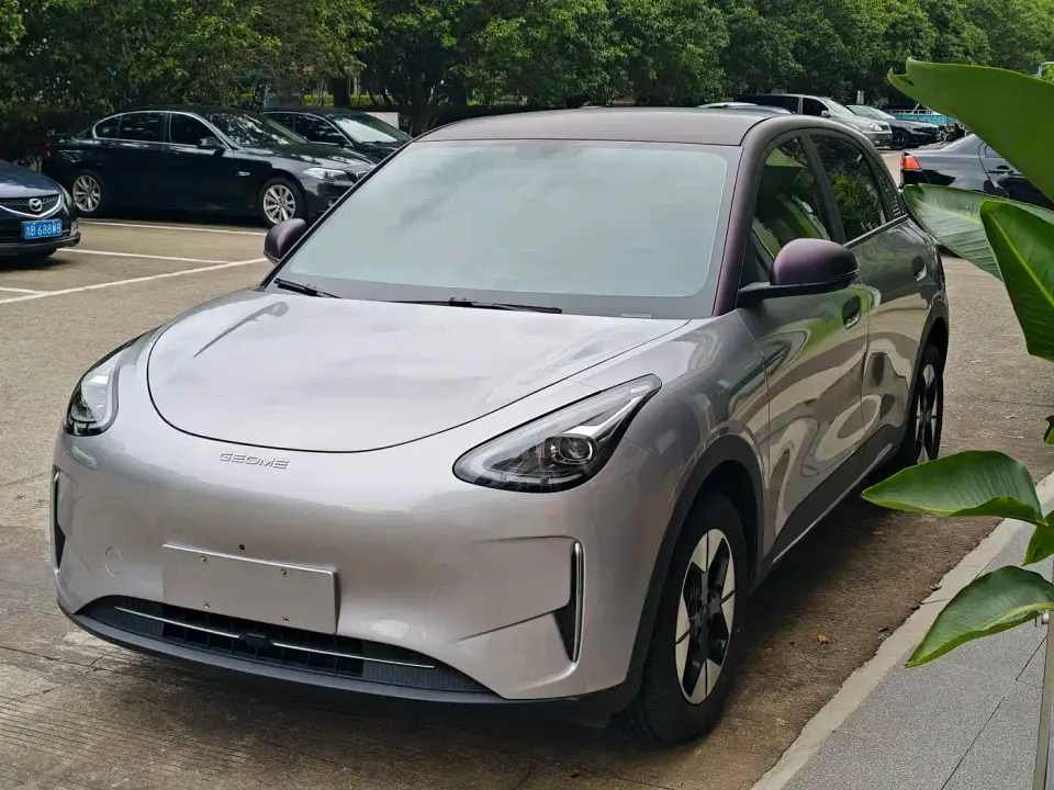 Geely Galaxy Starry Wish 310km Youth Edition 2025