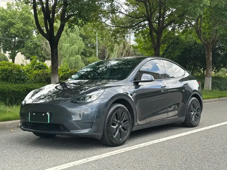 Tesla Model Y Rear-Wheel Drive Version 2024