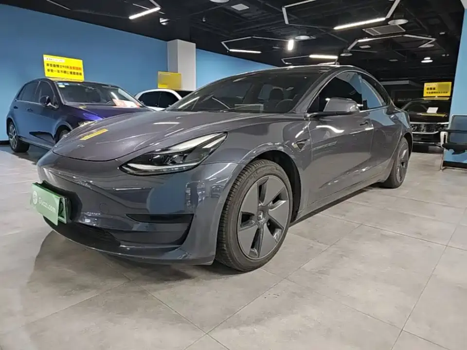 Tesla Model 3 Standard Range Rear-Wheel Drive Upgrade 3D6 2021
