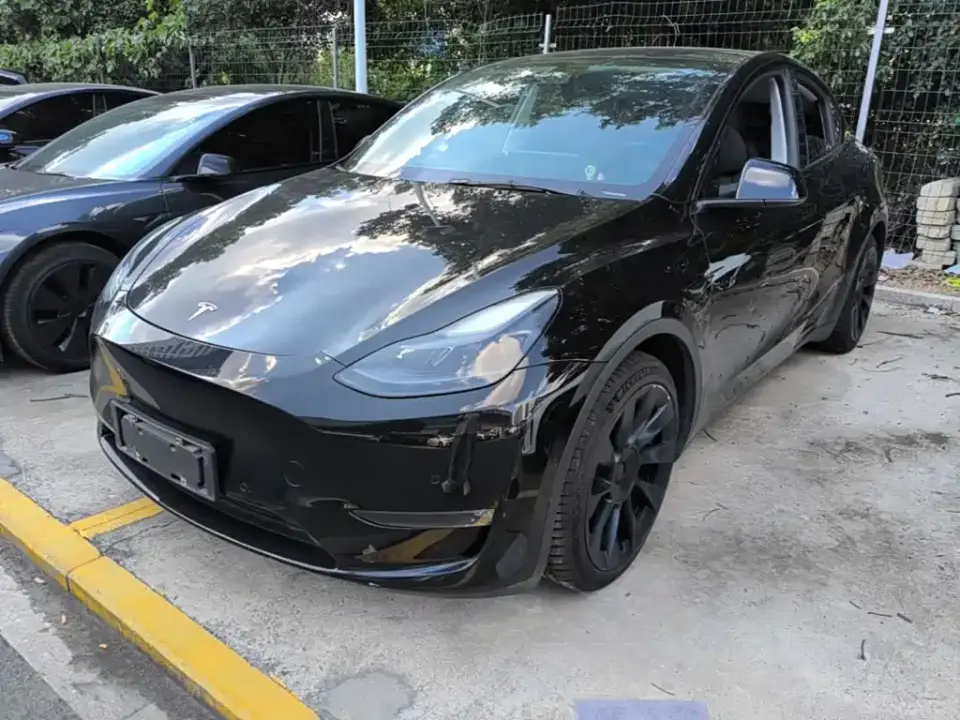 Tesla Model Y Standard Range Rear-Wheel Drive 2021