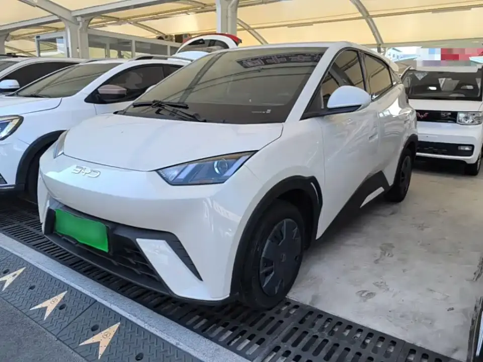 BYD Seagull 305km Vitality 2024