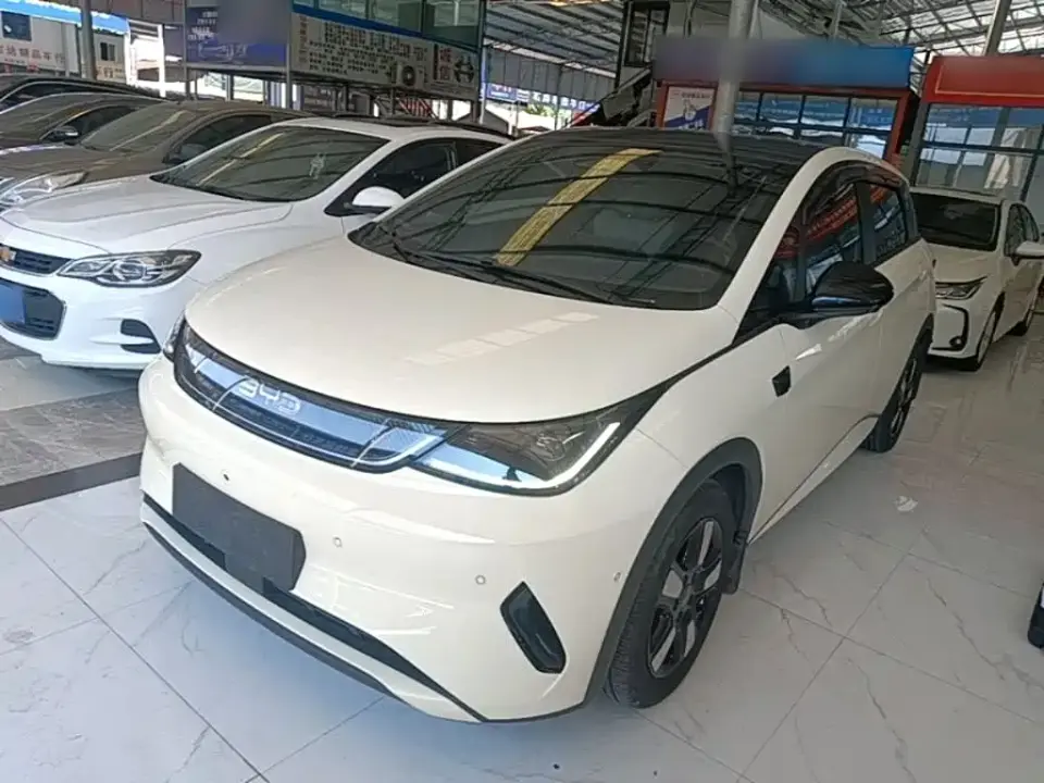 BYD Dolphin Smart Drive Edition 410km Fashion Version 2025