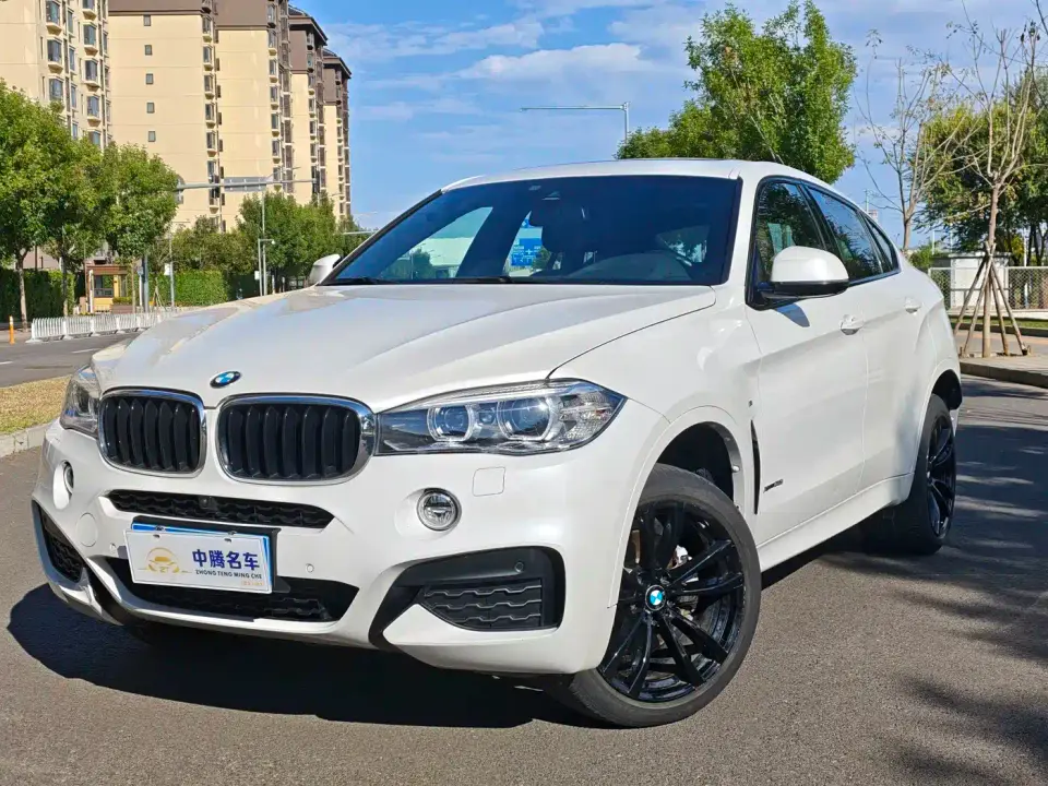 BMW X6 xDrive35i M Sport Package 2019