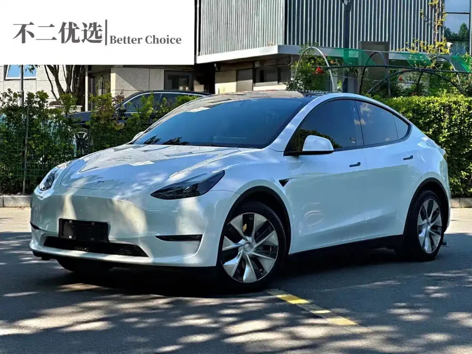 Tesla Model Y Standard Range Rear-Wheel Drive 2021