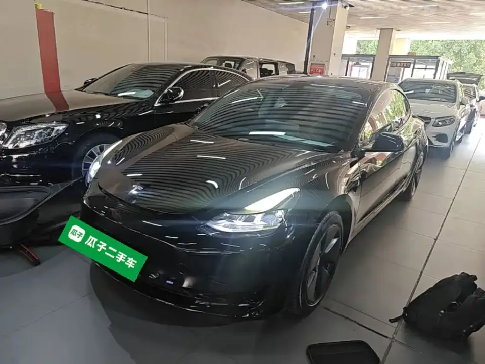 Tesla Model 3 Standard Range Rear-Wheel Drive Upgrade 3D6 2021