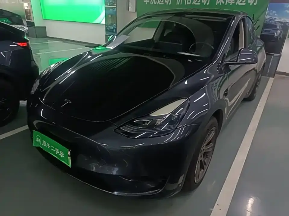 Tesla Model Y Rear-Wheel Drive Version 2024