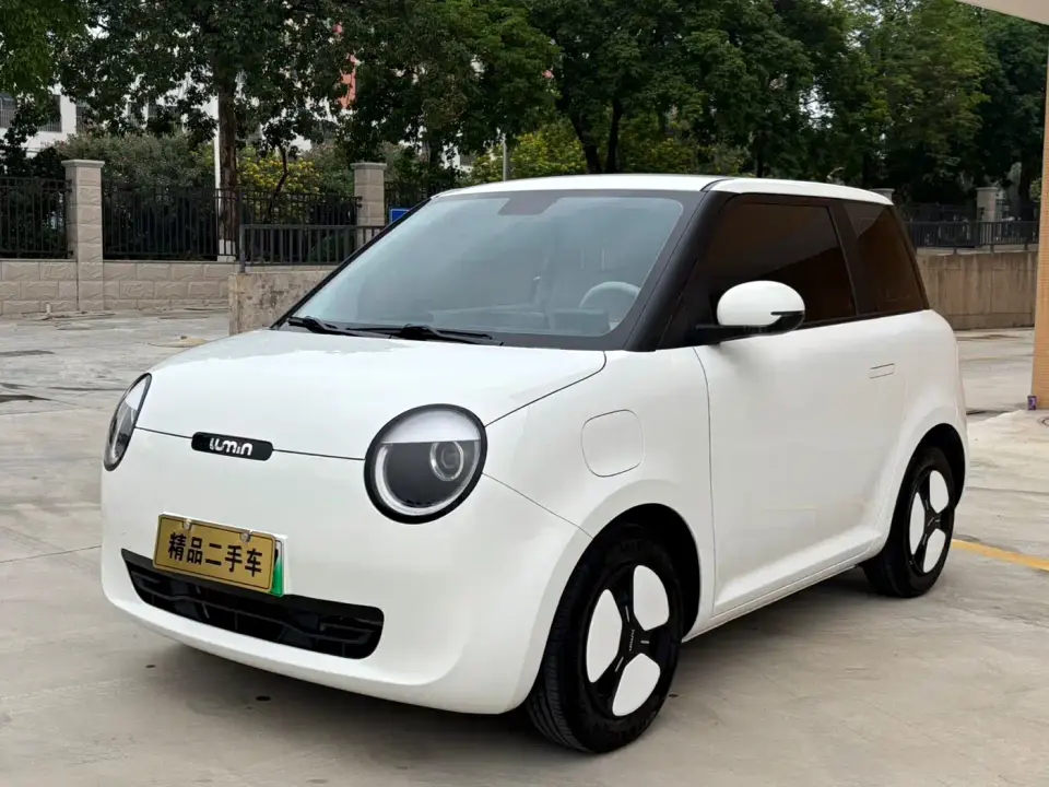 Changan Qiyuan Changan Lumin Model 205km Fragrant Edition 2024